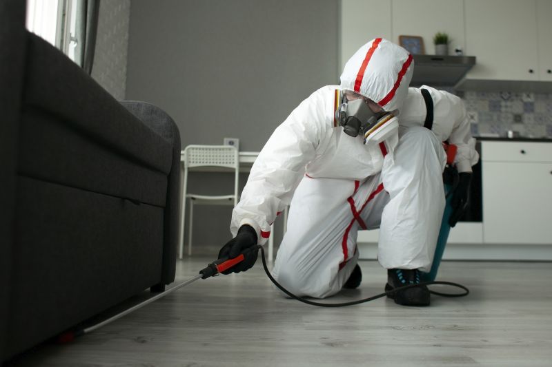 Pest Prevention in Encapsulated Crawlspace